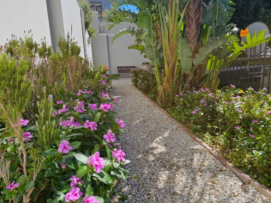 3 Bedroom Property for Sale in Higgovale Western Cape